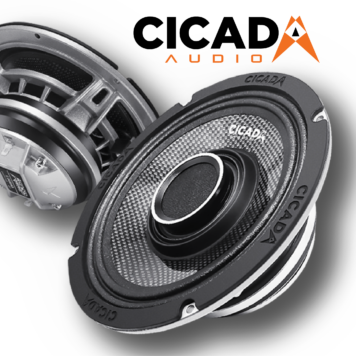 Cicada Audio
