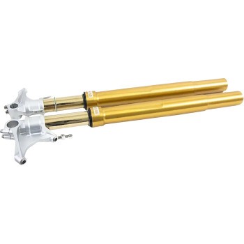 Ohlins FGRT308 Fork Cartridge Kit | 48mm | Inverted | Gold